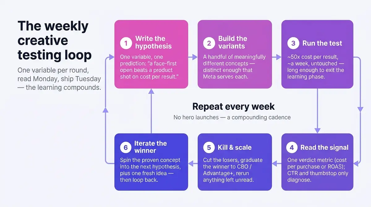Six-step weekly creative testing loop diagram: write the hypothesis, build a few distinct variants, run each on a learning-phase budget for about a week, read one verdict metric, kill the losers and scale the winner, then iterate into the next round, with the cycle repeating every week.